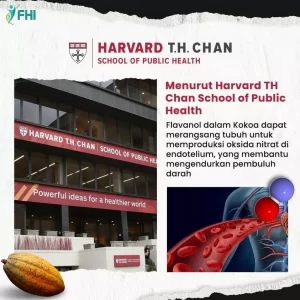 AnyConv.com__Konten FHI Flvnol Terbaru 10