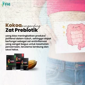 AnyConv.com__Konten FHI Flvnol Terbaru 25