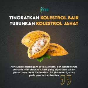 AnyConv.com__Konten FHI Flvnol Terbaru 32