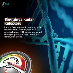 AnyConv.com__Konten FHI Flvnol Terbaru 36