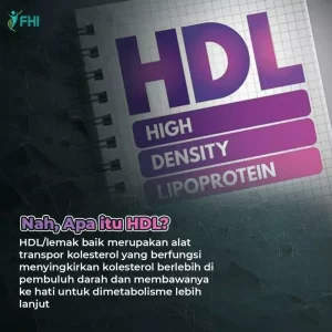 AnyConv.com__Konten FHI Flvnol Terbaru 37