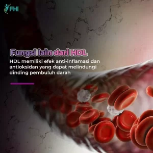 AnyConv.com__Konten FHI Flvnol Terbaru 38