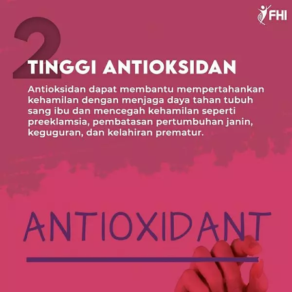 AnyConv.com__Konten FHI Flvnol Terbaru 75