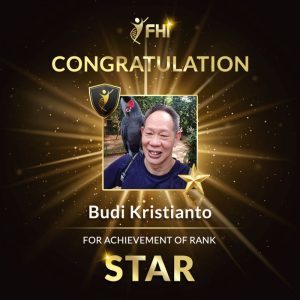 17-star-budi-800x800