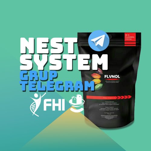 Profil-Grup-Telegram-NEST-2.jpg